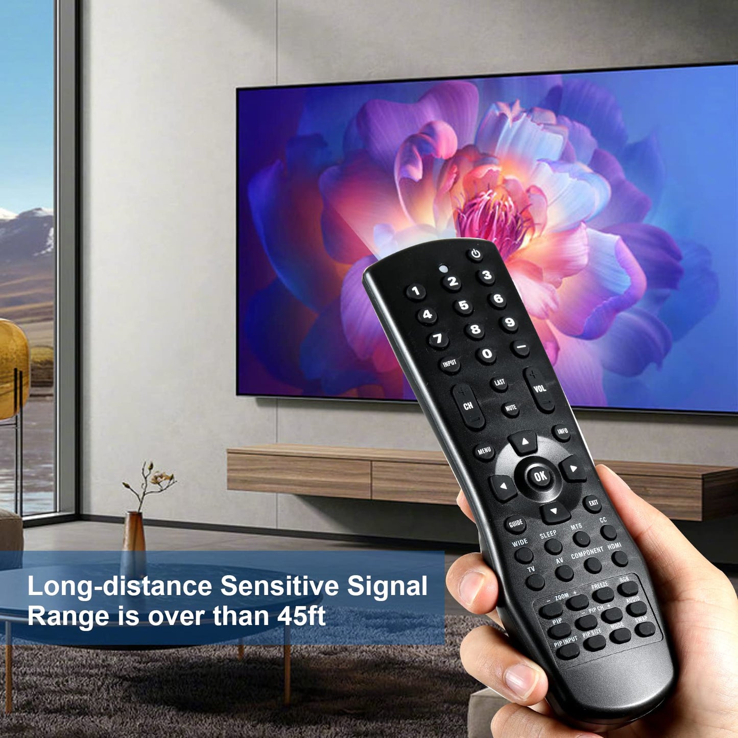 VR1 Universal Replacement Remote Control for Vizio LCD and Plasma TV