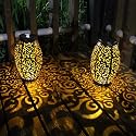 esgarden 2 Pack Upgraded 15 Lumens Outdoor Lanterns Gardening Gifts Patio Solar Lantern Hanging Powered Lights Waterproof Decorative Lamp Tabletop