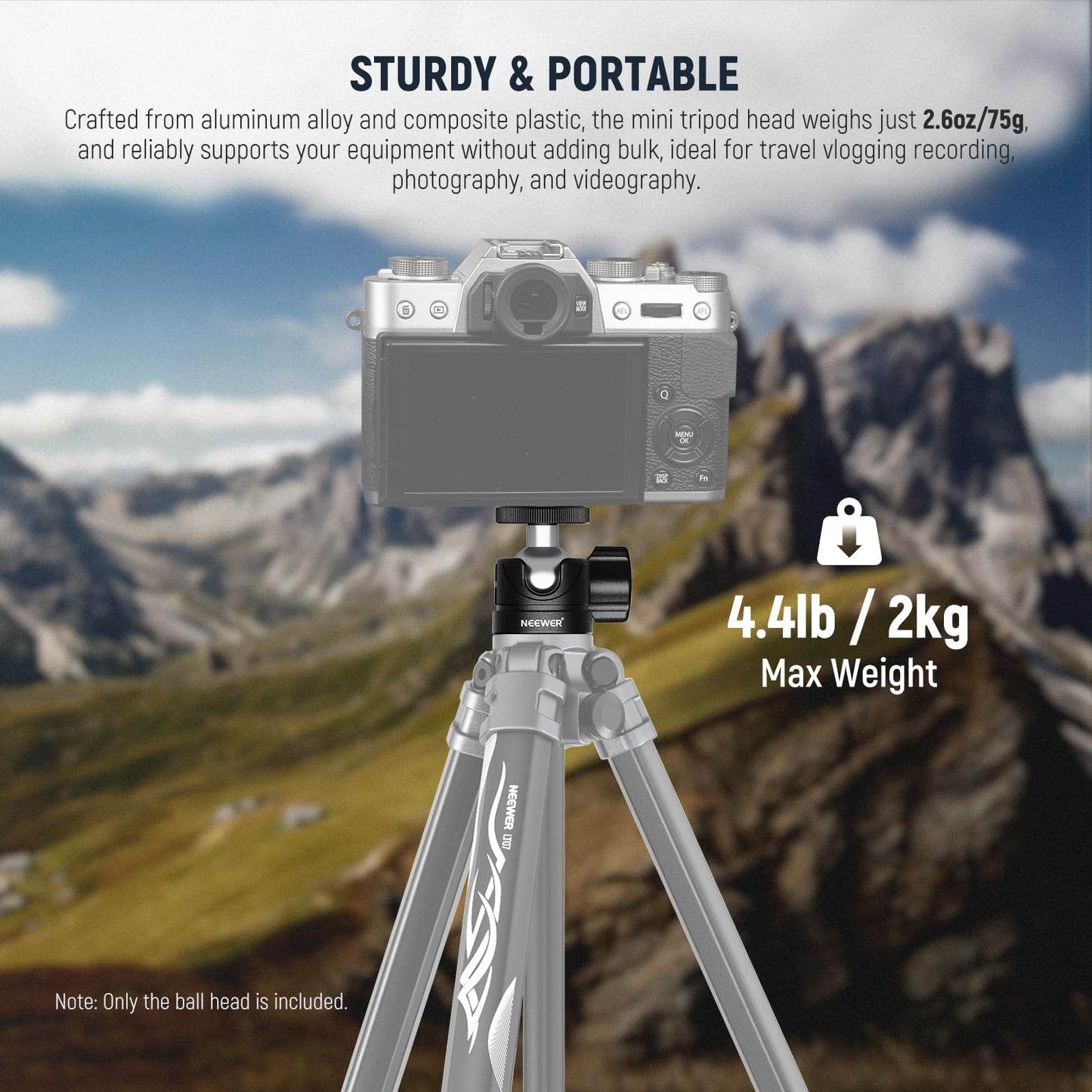 NEEWER Basic Mini Ball Head, Portable Tripod Head Camera Mount Adapter with 1/4" Screw for Compact DSLR Action Cam Phone LED Ring Light Monopod