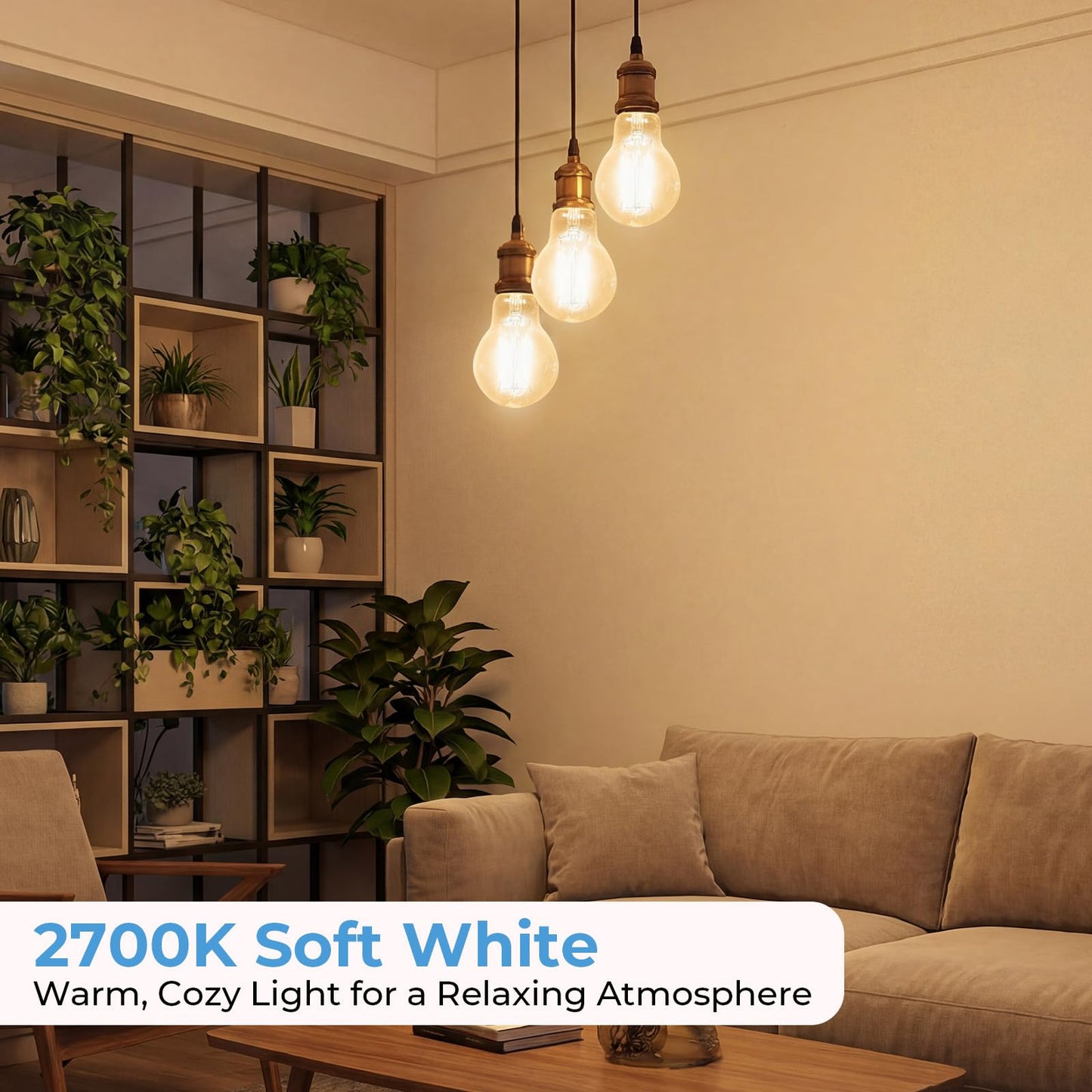 Stepless Dimmable A19 E26 LED Edison Bulbs, 60 Watt Equivalent 2700K