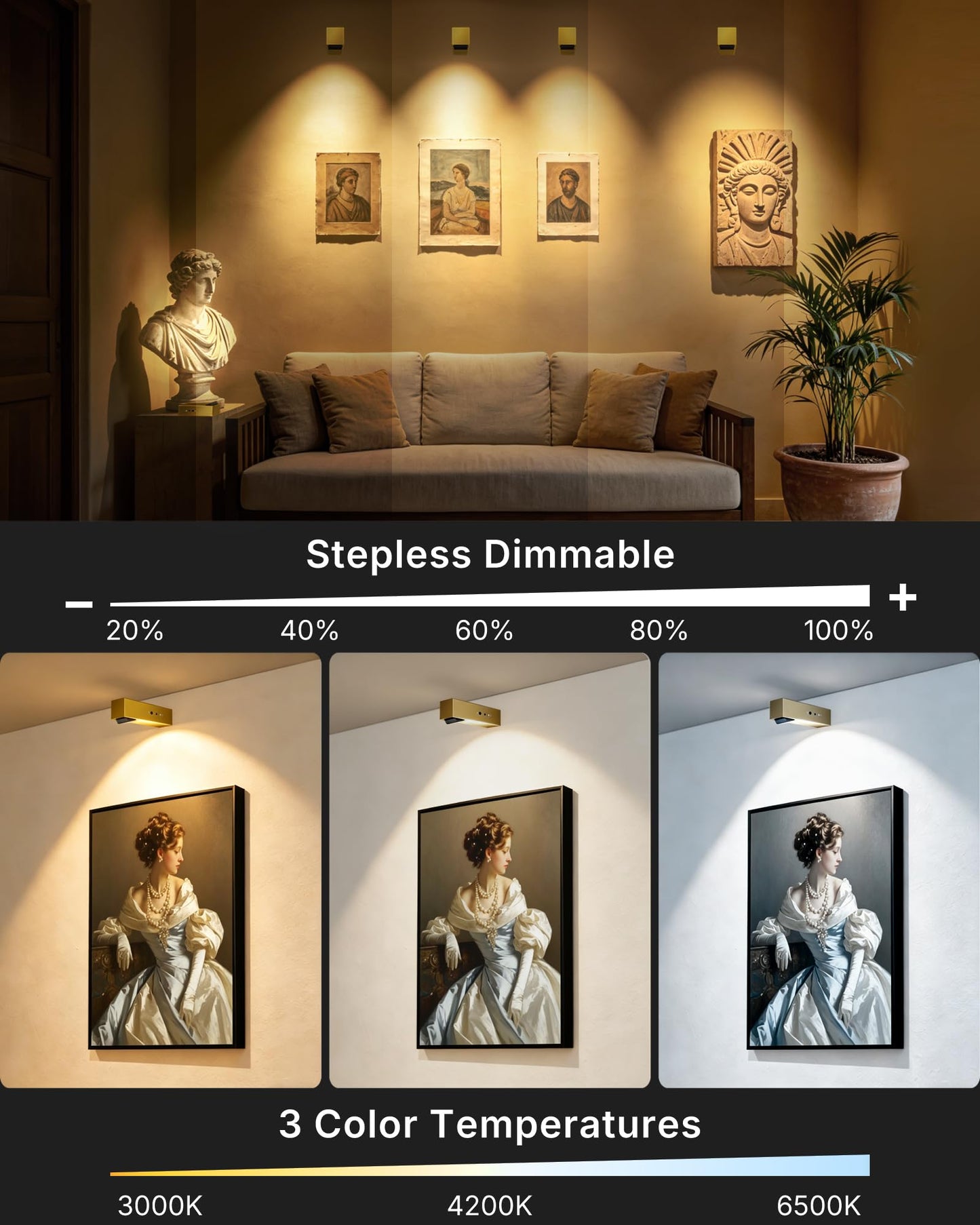 LYTARA Picture Lights for Wall, 2 Pack Metal Rechargeable 5000mAh Battery Lights with 60° Pivoting Head, Remote, Timer, 3 CCTs & Dimmable Magnetic LED