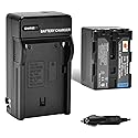 DSTE® NP-QM71D Battery + Charger DC01 for Sony NP-QM70 NP-QM71 NP-QM71D and Sony CCD-TRV107 CCD-TRV108 CCD-TRV118 CCD-TRV138 CCD-TRV150 CCD-TRV228