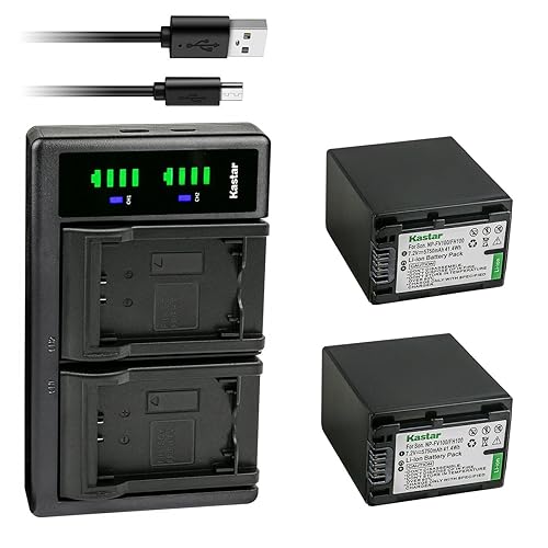Kastar 2-Pack Battery NP-FV100 and LTD2 USB Charger Compatible with Sony NP-FV30 NP-FV40 NP-FV50 NP-FV70 NP-FV70A NP-FV90 NP-FV100 Battery, Sony