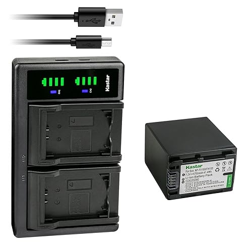 Kastar 1-Pack Battery NP-FV100 and LTD2 USB Charger Compatible with Sony NEX-VG20 NEX-VG30 NEX-VG900 HXR-MC50 HXR-MC88 HXR-NX30 HXR-NX70 HXR-NX80