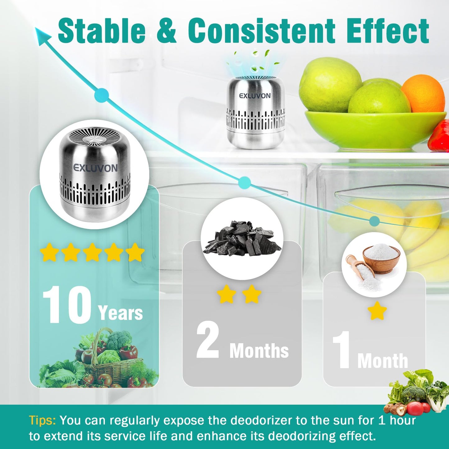Exluvon Refrigerator Deodorizer, Up to 10 years, Catalytic Odor Remover