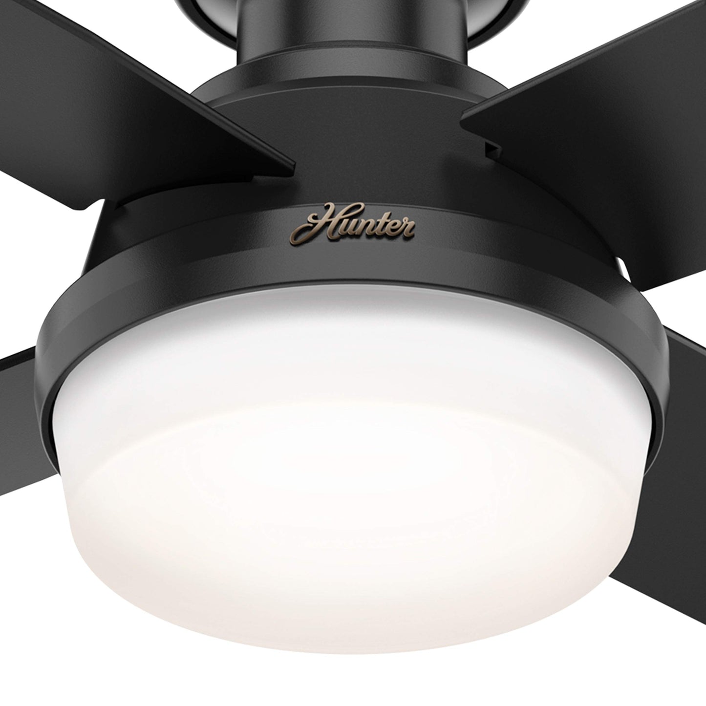 Hunter Fan 44 inch Low Profile Matte Black Indoor/Outdoor Ceiling Fan with Light Kit and Remote Control for Bedroom, Living Room, Dining Room