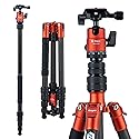 Fotopro 62" Carbon Fiber Travel Tripod, Lightweight Compact Camera Tripod with Ball Head, Detachable Monopod with Arca-Swiss Release Plate and Bag