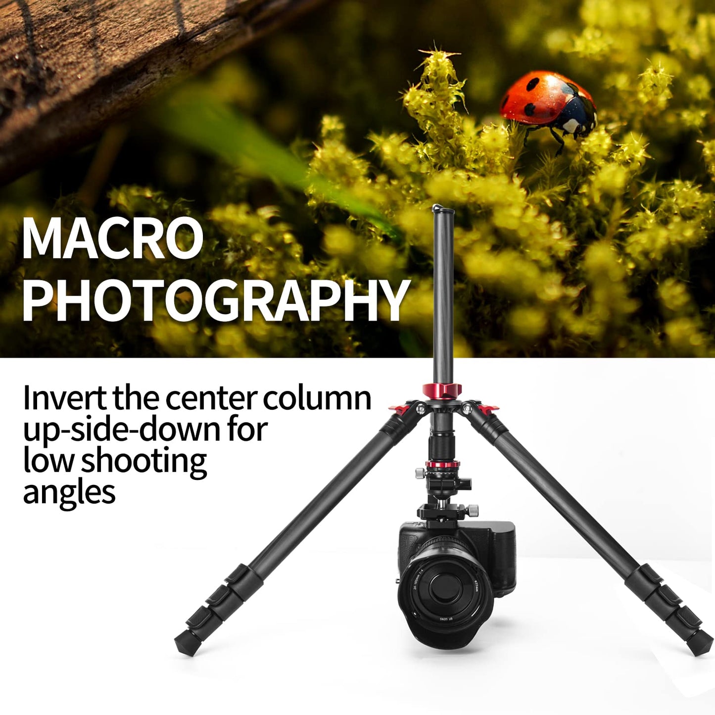 CAVIX 62" Professional Carbon Fiber Camera Tripod, Tripod & Monopod 2 in 1, Lightweight Travel Tripod with 360° Ball Head and Arca-Swiss QR Plate
