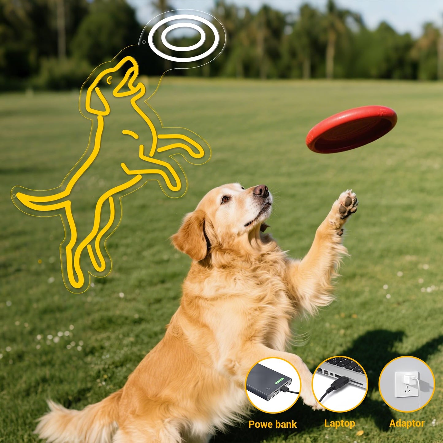 CrazyGazelle Dog Frisbee Neon Sign for Wall Decor, Golden Retriever LED Neon Sign Light for Living Room, Ideal Funny Gift for Dog Moms lovers, Pet