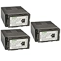 Kastar 3-Pack VW-VBG6 Battery Replacement for Panasonic VW-VBG6 VW-VBG6GK VW-VBG6-K VW-VBG6PPK CGA-E625 Battery, DE-A38, VSK0631, VSK0698 Charger