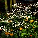 Solar Garden Lights 2 Pack Twinkling Solar Firework Lights with 2 Modes 120LED, Solar-Powered Light for Outside Yard Pathway Garden Decor Outdoor
