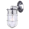 CANARM LTD. IOL337AL Weather 1 Light, Indoor/Outdoor, Ceiling/Wall Mount, All Metal with Cage, Aluminum Finish