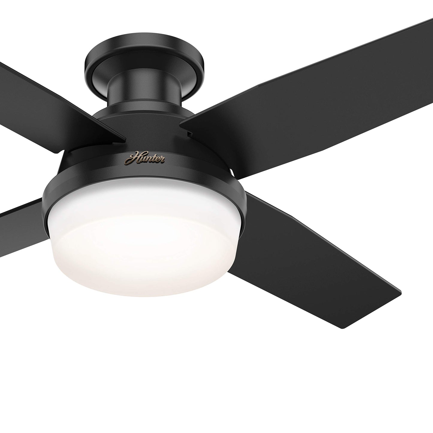 Hunter Fan 44 inch Low Profile Matte Black Indoor/Outdoor Ceiling Fan with Light Kit and Remote Control for Bedroom, Living Room, Dining Room