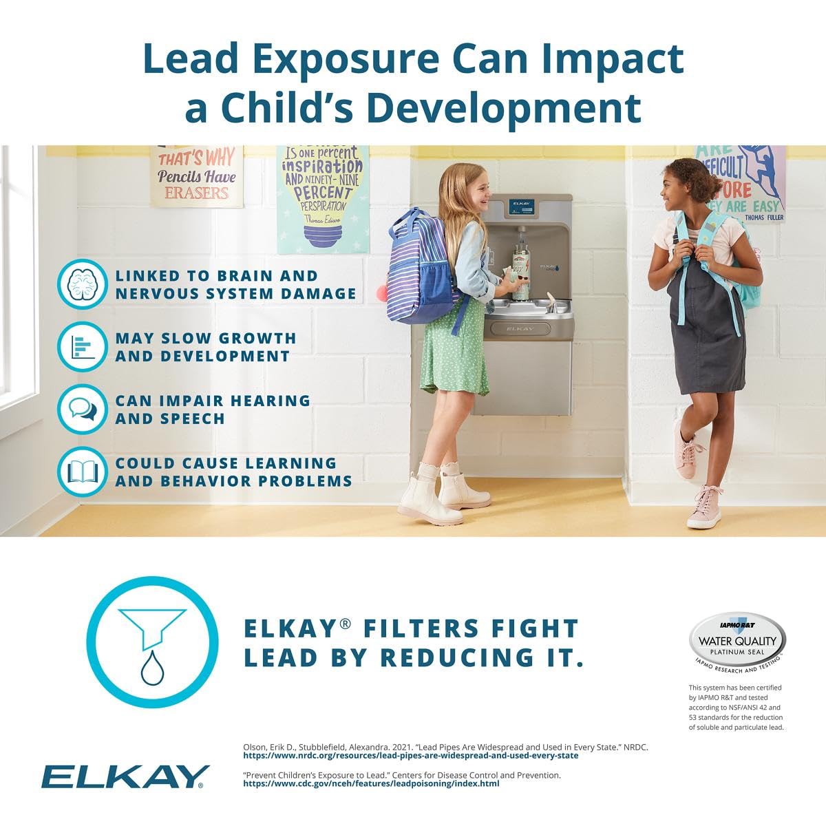 Elkay Genuine WaterSentry 51300C Lead + Microplastics NSF/ANSI Certified Filter (Single)(Bottle Fillers)