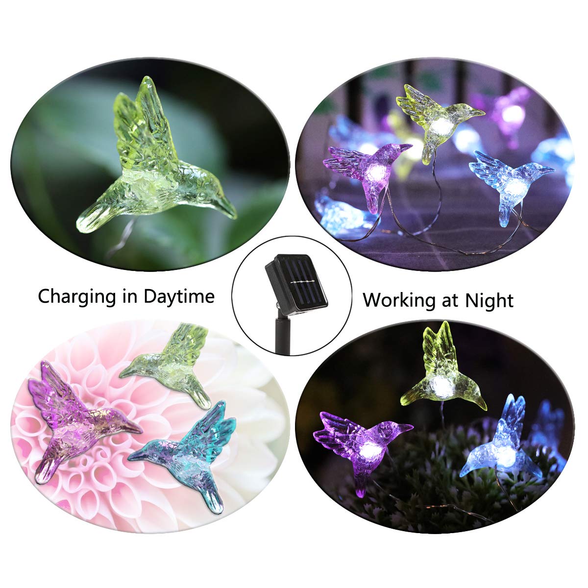 WSgift Solar Hummingbird String Lights, 15.8 Ft 30 Warm White LED Outdoor Waterproof Bird Fairy String Lights for Garden Yard Outdoor Decorations