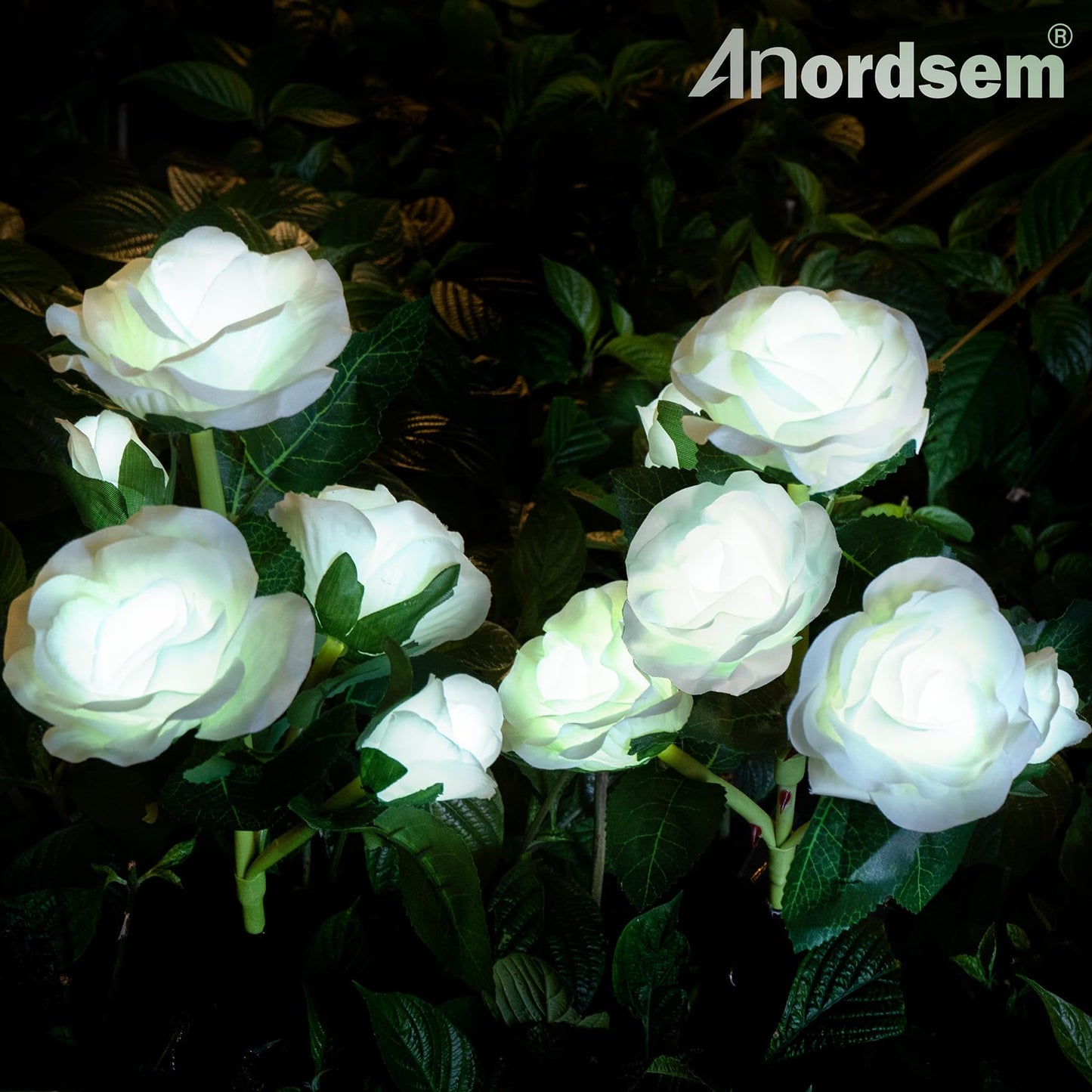 Anordsem Solar Garden Lights Outdoor: 10 Waterproof Fabric Roses 2 Pack - White LED Flower Decorations for Yard Patio Path Cemetery Grave - Mother 's