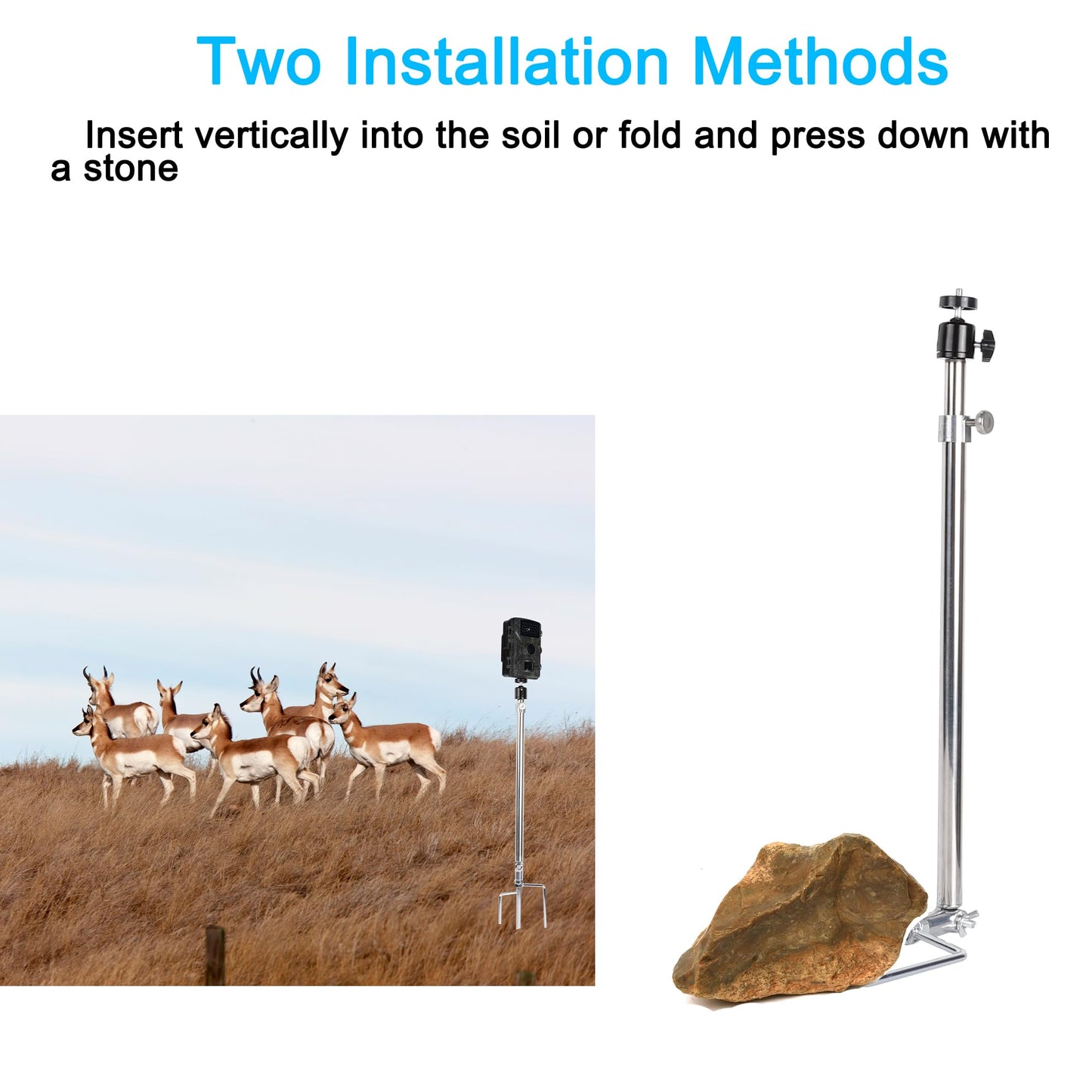 PellKing Universal Hunting & Trail Cameras Holder Stake,1/4''-20 Ground Mount for Hunting Camera,Action Camera,Solar Panels, Night Fishing Mounts