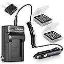 Kastar Battery (X2) & AC Travel Charger for Leica BP-DC4, BP-DC4-U, Kodak LB-080 LB080 and Leica C-LUX1, D-LUX2, D-LUX3, D-LUX4 and Kodak PIXPRO SP1