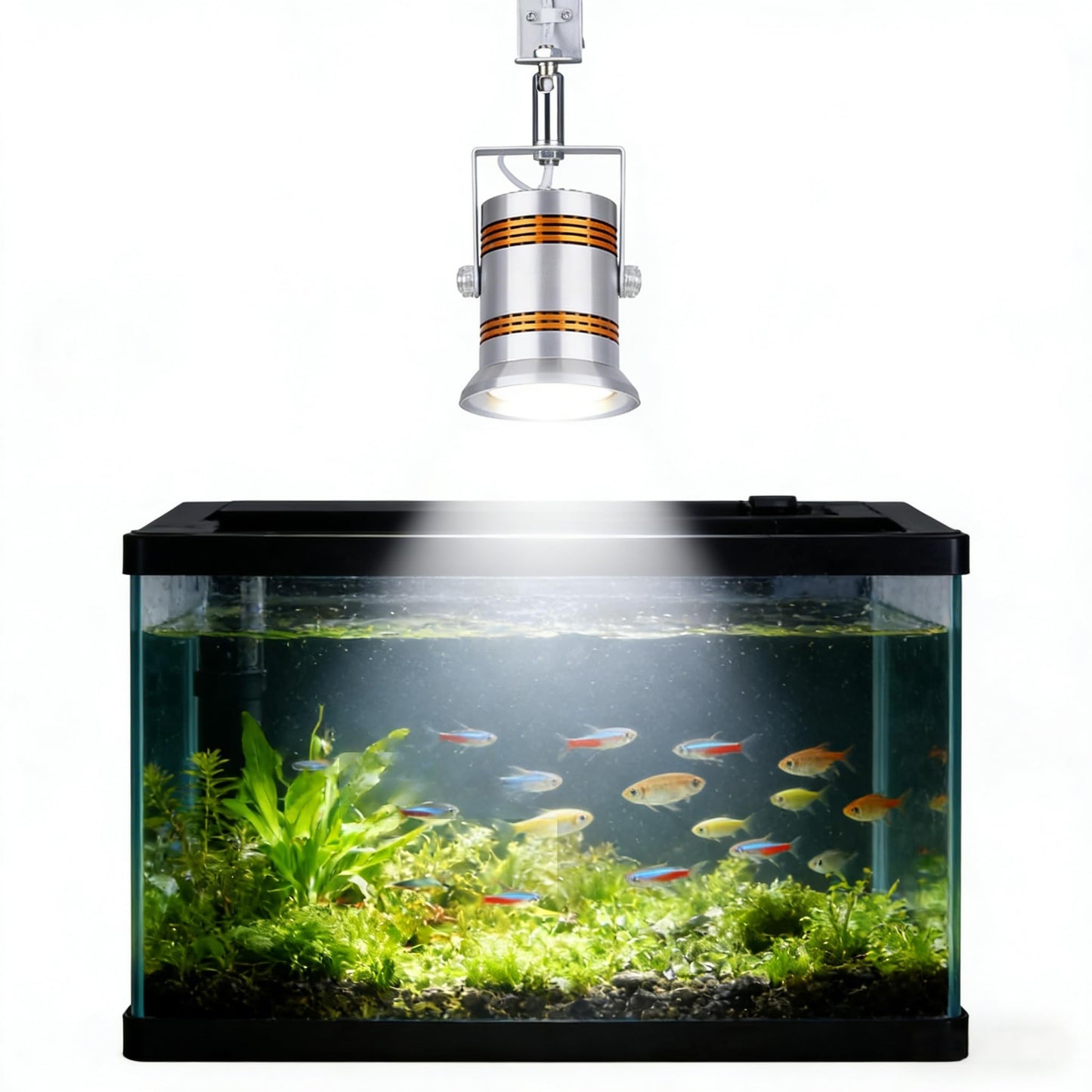 75W High-Power LED Spotlight, Jewelry Display Light, Full Spectrum Plant Grow Light, Aquarium Light, Hook or Ceiling Mount (6000K) White Light