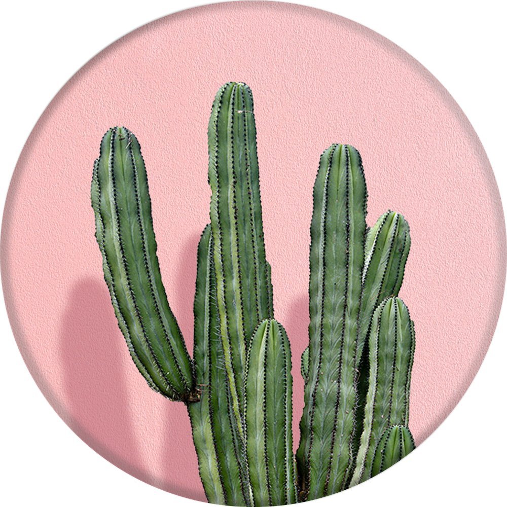 PopSockets Stand for Smartphones and Tablets - Aspyn Cactus Land