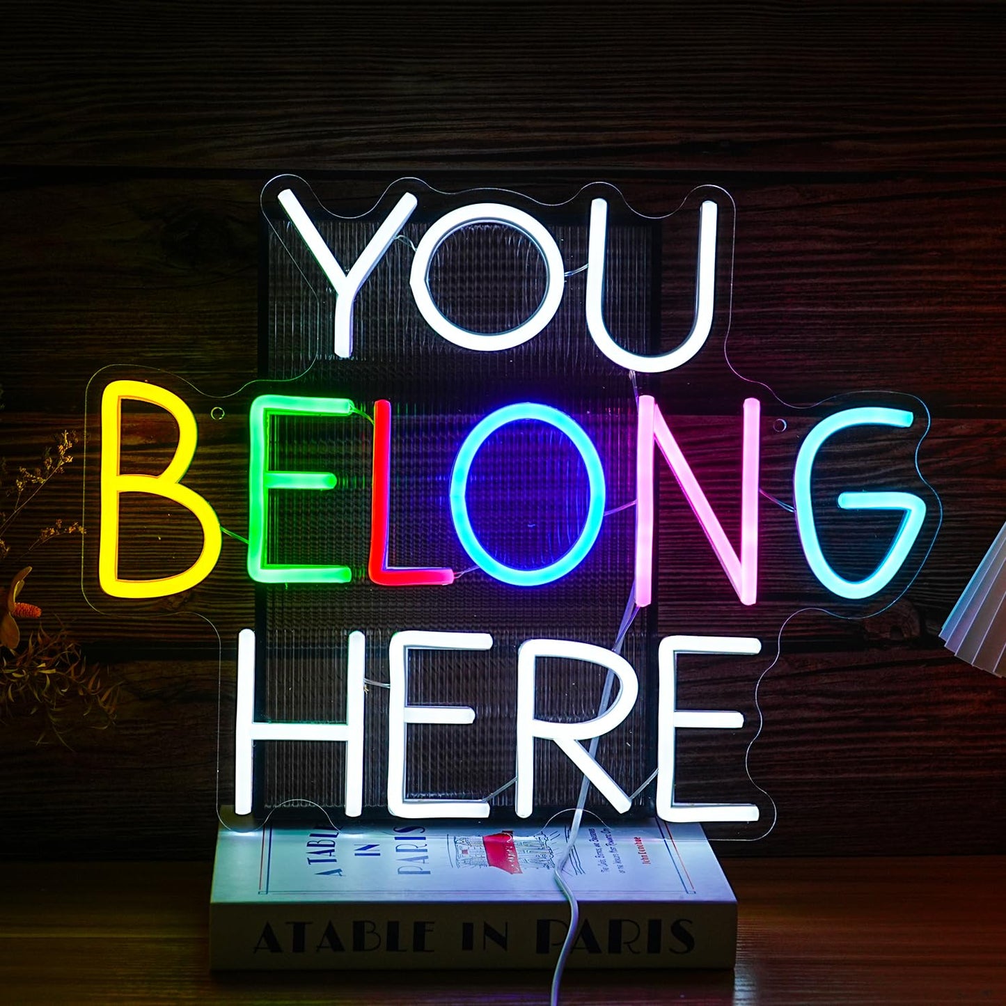 BNEMCEZH You Belong Here Neon Sign Dimmable Colourful LED Neon Light Sign for Wall Decor USB Powered Letters Neon Light for Bedroom Party Classroom