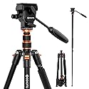 GEEKOTO Video Tripod Fluid Head,Professional Camera Tripod for DSLR,Monopod Aluminum 77" for Video Camcorder Canon Nikon Sony with 1/4" Screws Fluid
