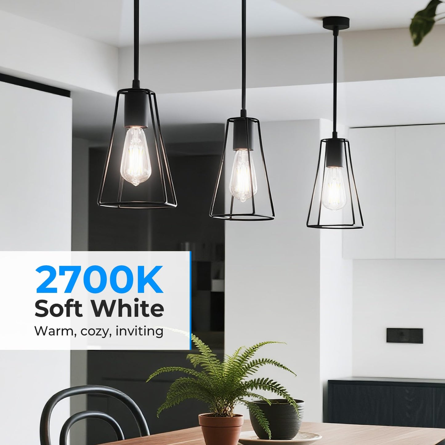 GvvooHome Dimmable Edison Bulbs 4000K Daylight White, E26 LED Bulb
