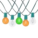 Novelty Lights G40 Filament LED String Light, Translucent Orange/Green/White Bulbs, 25 Globe Lights with 12" Spacing on Green Wire, Indoor/Outdoor