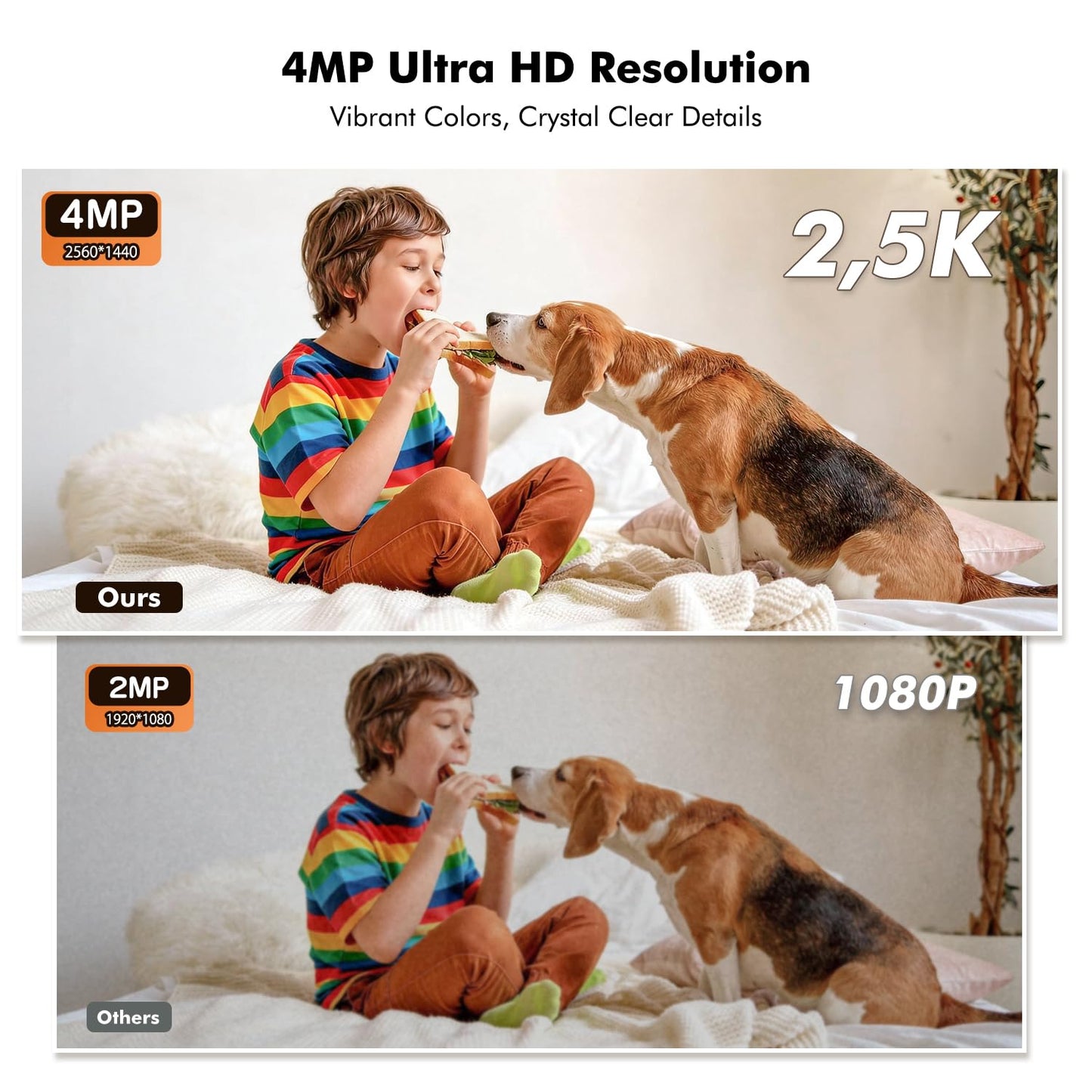 Battery Powered Indoor Camera Wireless for Home Monitoring, Rechargeable Pet Camera with 2-Way Audio, 360° PTZ, 2.5K Color Night Vision, Dual-Band