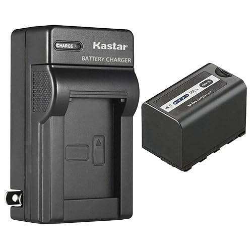 Kastar 1-Pack Battery and AC Wall Charger Replacement for Panasonic Lumix BGH1 Cinema 4K Box Camera, AG-CX10, AG-CX350, AG-DVX200, AG-DVX200PJ