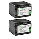 Kastar 2-Pack Battery VW-VBK360 Replacement for Panasonic VW-VBK180, VW-VBK360, VW-VBK360PPK, VW-VBL180, VW-VBL090 Battery, Panasonic SDR-HS85P