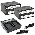 Wasabi Power Battery (2-Pack) and Dual Charger for Sony NP-F950, NP-F960, NP-F970, NP-F975 (L Series)