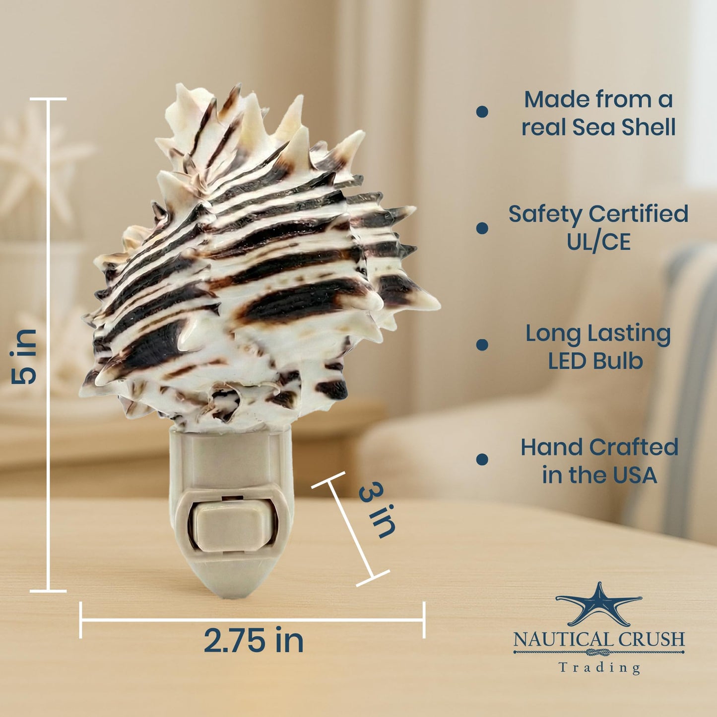 Seashell Night Light - Black Murex Nautical NightLight - Shell Light for Bathroom - Sea Shell Lamp - Seashell Lamp Plug Into Wall