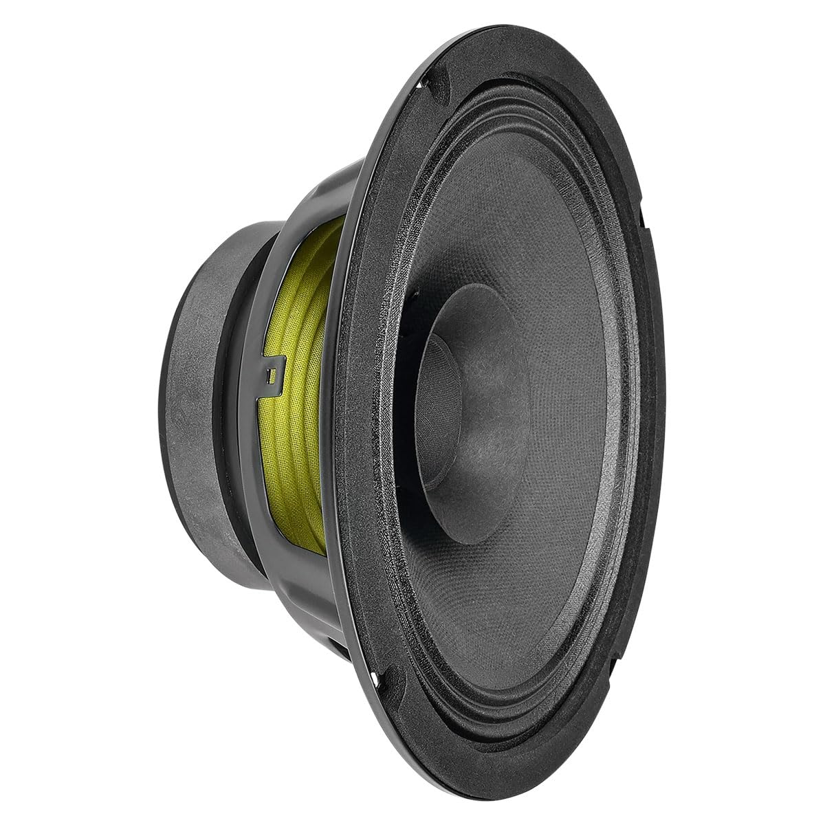 PRV AUDIO 8FR250 8 Inch Full Range Speaker, 8 Ohms, 250 Watts Continuous Program Power, 125 Watts RMS Power, 93.5 dB, Full-Range Driver Loudspeaker for Pro Audio Systems (Single)