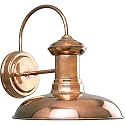 Progress Lighting P5722-14 Brookside Outdoor, 10-Inch Width x 10-3/4-Inch Height, Brown