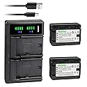 Kastar 2-Pack VW-VBK180 Battery and LTD2 USB Charger Replacement for Panasonic SDR-H85S, SDR-HS85P, SDR-HS85PC, SDR-H95, SDR-H95K, SDR-S45, SDR-S50A
