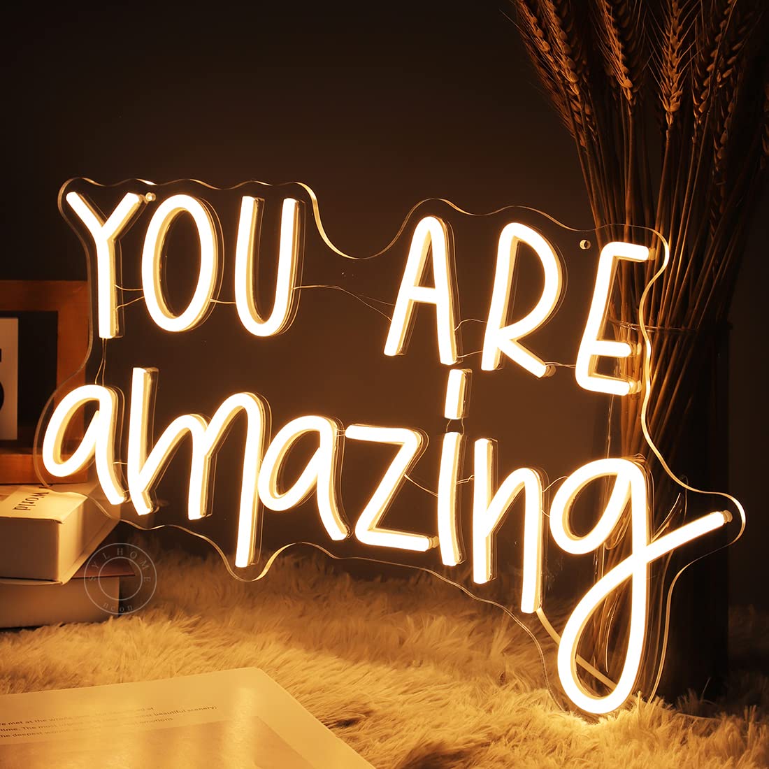 SYLHOME You Are Amazing LED Neon Light Sign 5V Girls Boys Bedroom Living Room Classroom Wall Decor Sign Hanging Smart Kid Birthday USB 16.9" X 10.6"