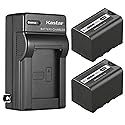 Kastar 2-Pack Battery and AC Wall Charger Replacement for Panasonic Lumix BGH1 Cinema 4K Box Camera, AG-CX10, AG-CX350, AG-DVX200, AG-DVX200PJ