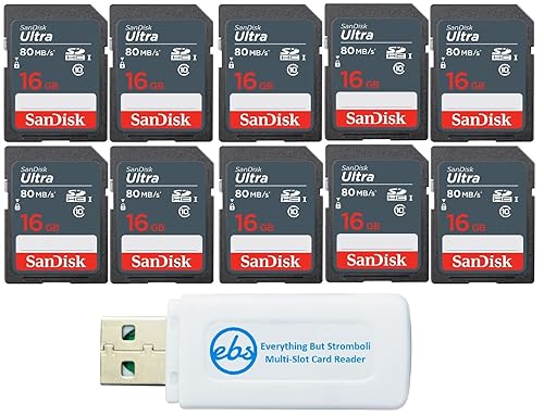 SanDisk 16 GB Class 10 SD HC Ultra Flash Memory Card (10 Pack) (SDSDUNS-016G-GN3IN) Class 10 UHS-I Bundle with (1) Everything But Stromboli MicroSDXC