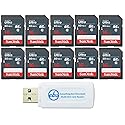 SanDisk 16 GB Class 10 SD HC Ultra Flash Memory Card (10 Pack) (SDSDUNS-016G-GN3IN) Class 10 UHS-I Bundle with (1) Everything But Stromboli MicroSDXC