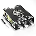 T220HS 220W+220W Power Amplifier Board with Subwoofer 2.0 Channel, 12V-36V Audio Power Amplifier Module with Treble and Bass Control