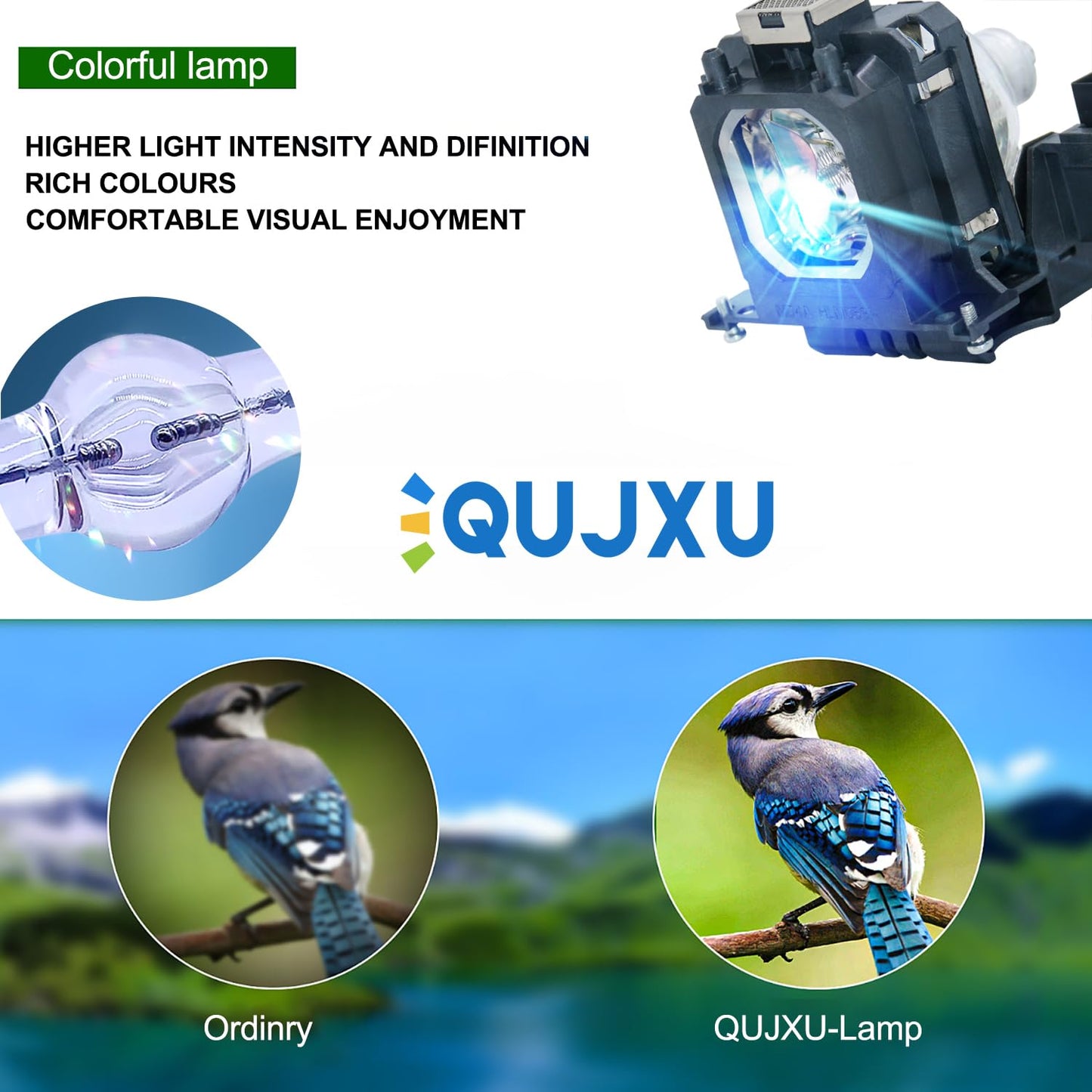 QUJXU POA-LMP135 / POA-LMP114 / 610-336-5404 Replacement Lamp Bulb with Housing for Sanyo PLV-Z2000,PLV-1080HD Projectors