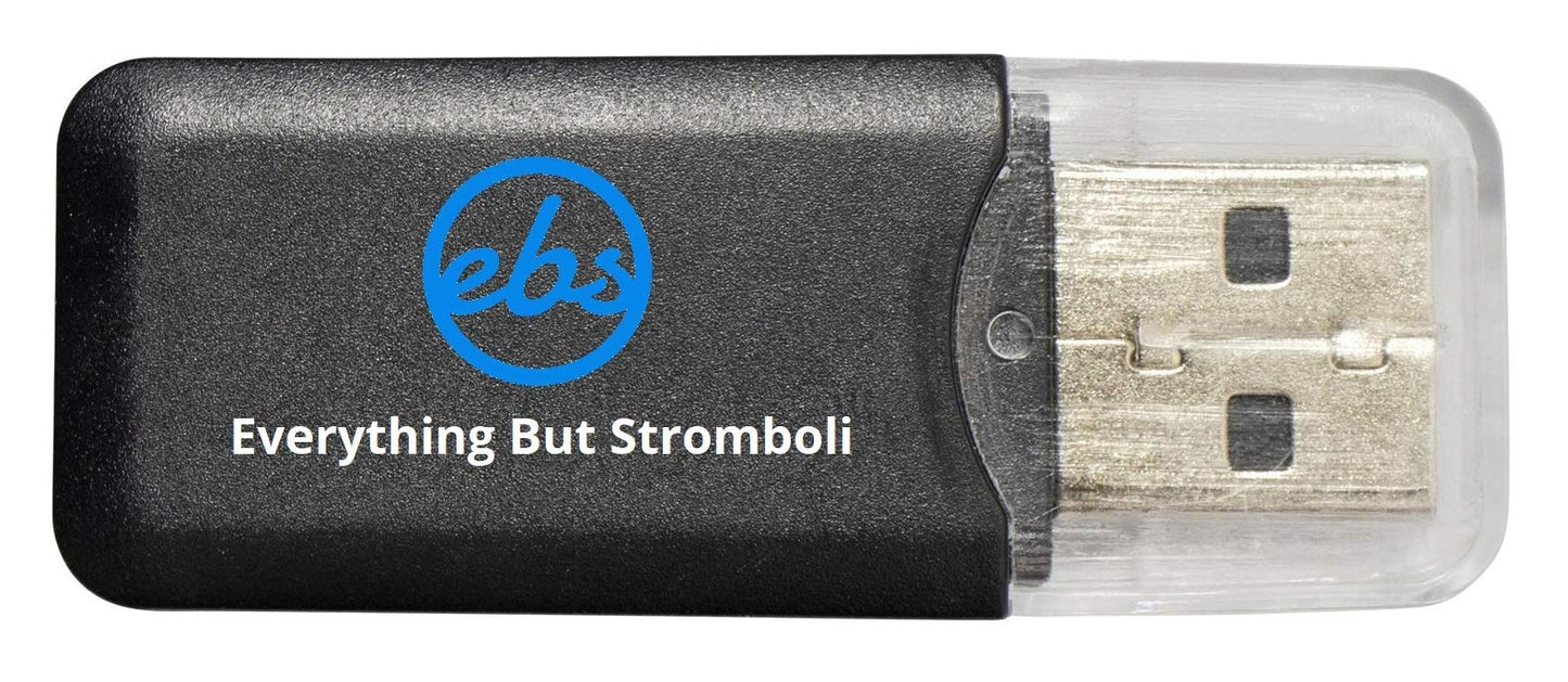 SanDisk 32GB MicroSD HC Flash Memory Card (2 Pack) Class 4 Bundle with (1) Everything But Stromboli MicroSD Card Reader