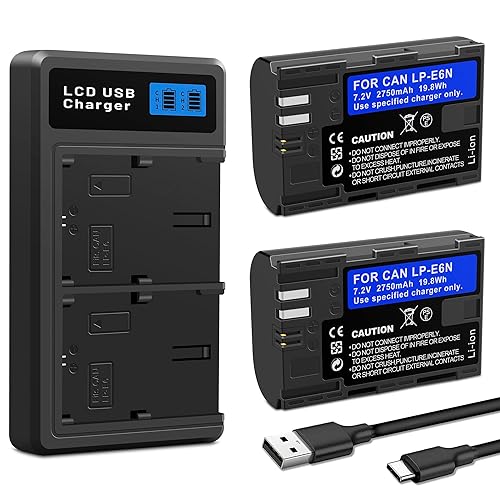 2Pcs LP-E6N Battery, Dual Slot Charger Box Compatible for Canon EOS R7, R6, R5, R, 6D Mark II, 5D Mark IV, 5D Mark III, 5DS, 5DS R, 5D Mark II, 80D