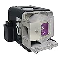 Rembam Hight Quality BL-FU310A / FX.PM484-2401 Replacement Lamp with Housing for OPTOMA X501/W501/EH501