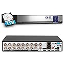 TOWODE 16 Channel Security Recorder DVR Supports 5MP Hybrid 5-in-1 AHD/TVI/CVI/CVBS/IP Analog Camera DVR with Human Detection, Remote Access 24/7