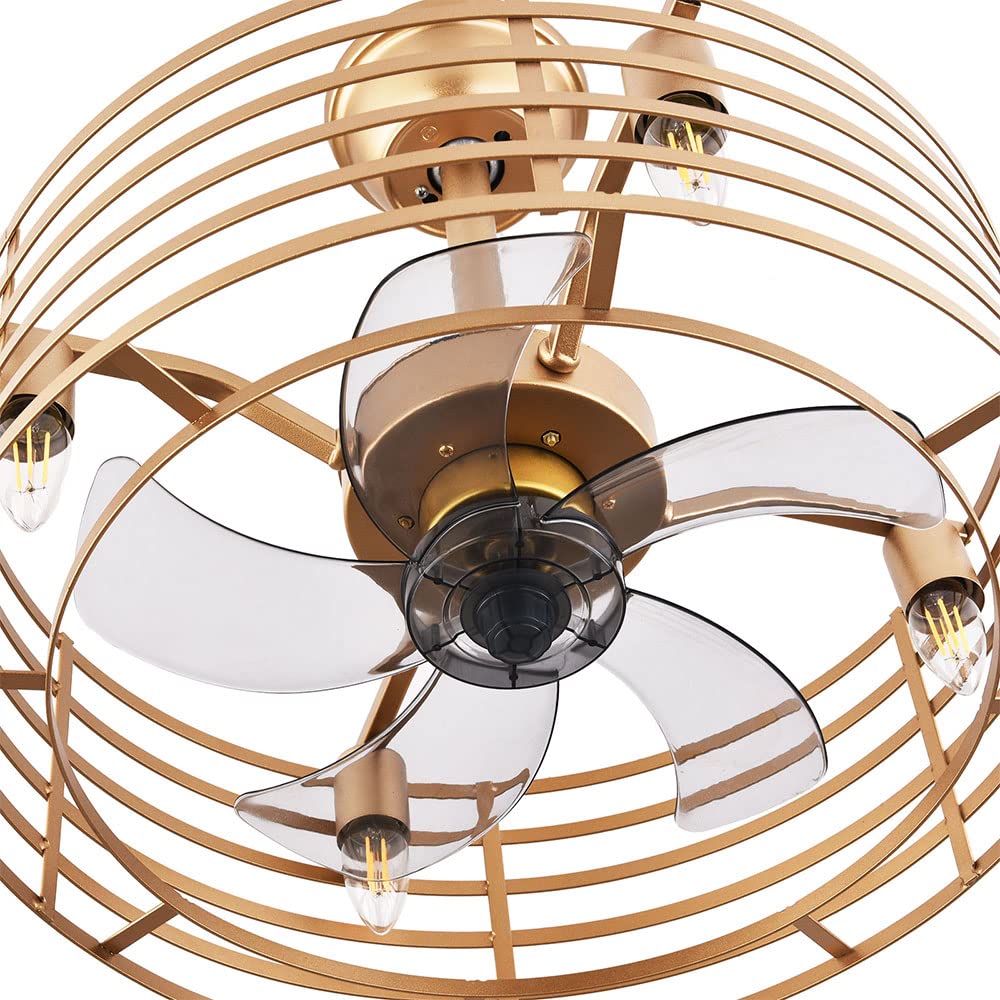 NOLANTISI 20 Inch Caged Ceiling Fan with 3 Speeds Adjustable Light Remote Control, Gold Modern Ceiling Fan Light with 5 Enclosed Blades, Quiet Ceiling