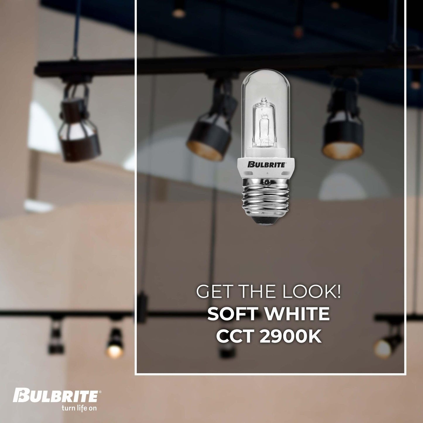 MINI 100W Equivalent T8 Medium Screw Base E26 in Frost Finish DIMMABLE 2900K Halogen LI