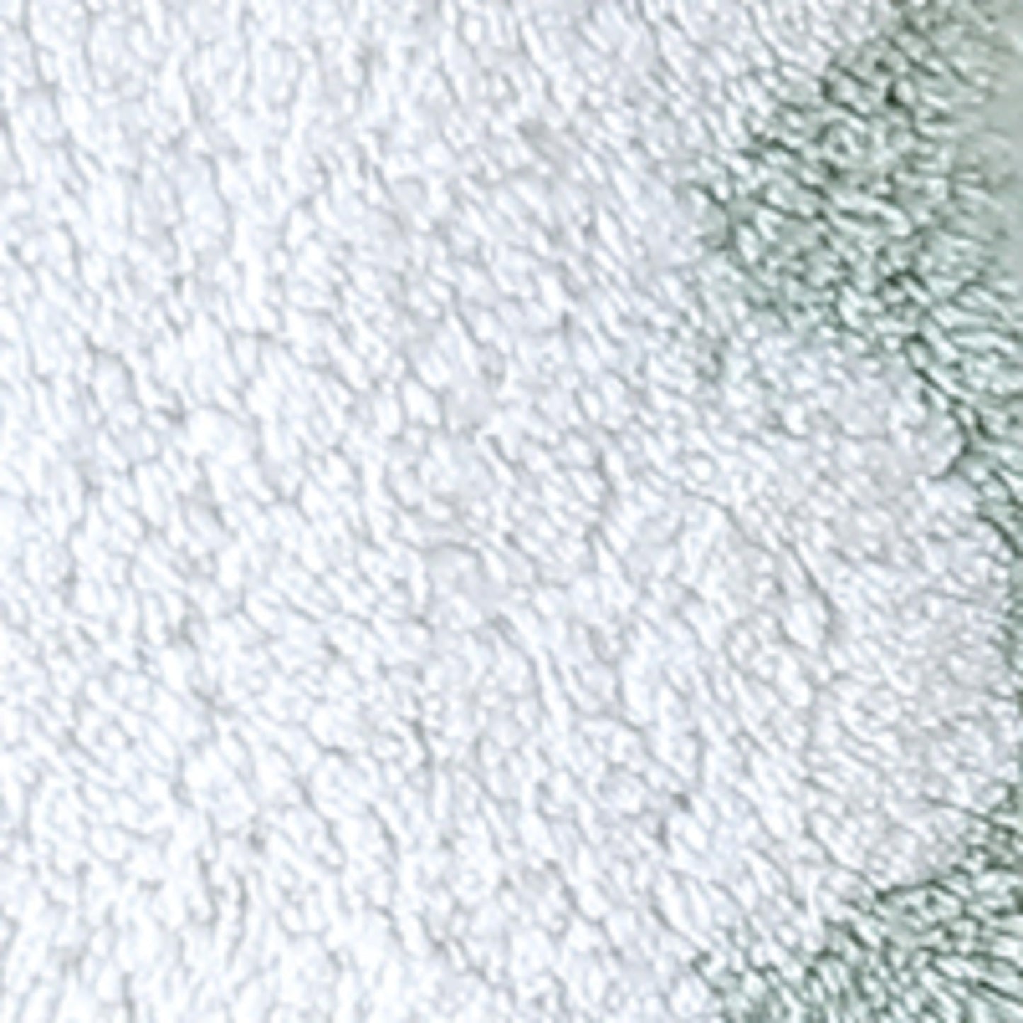 Peri Home Scalloped Bath Rug - Soft & Absorbent 100% Cotton Tufted Bath Mat, 20" x 30", White with Sage Scallop