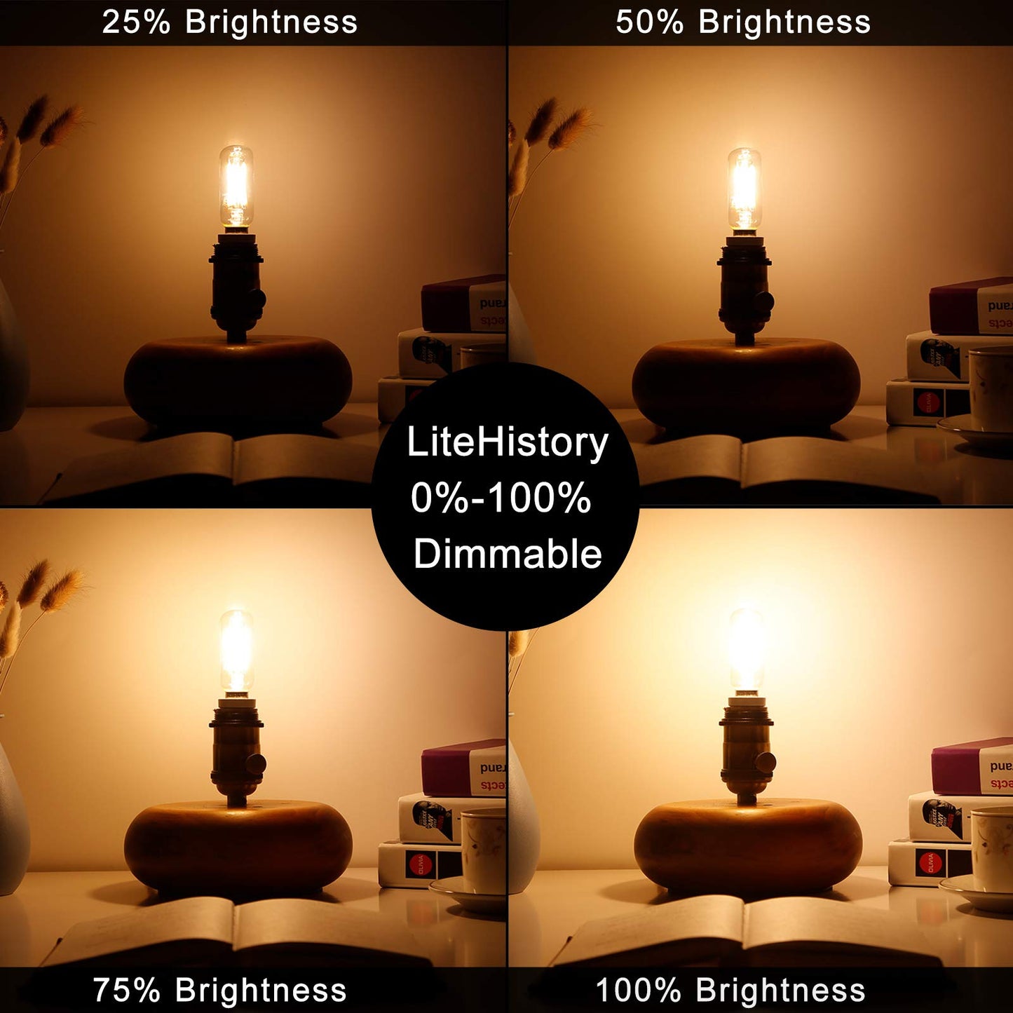 LiteHistory T6 E12 Candelabra Bulb 40 watt,Dimmable,Warm White 2700K,Clear